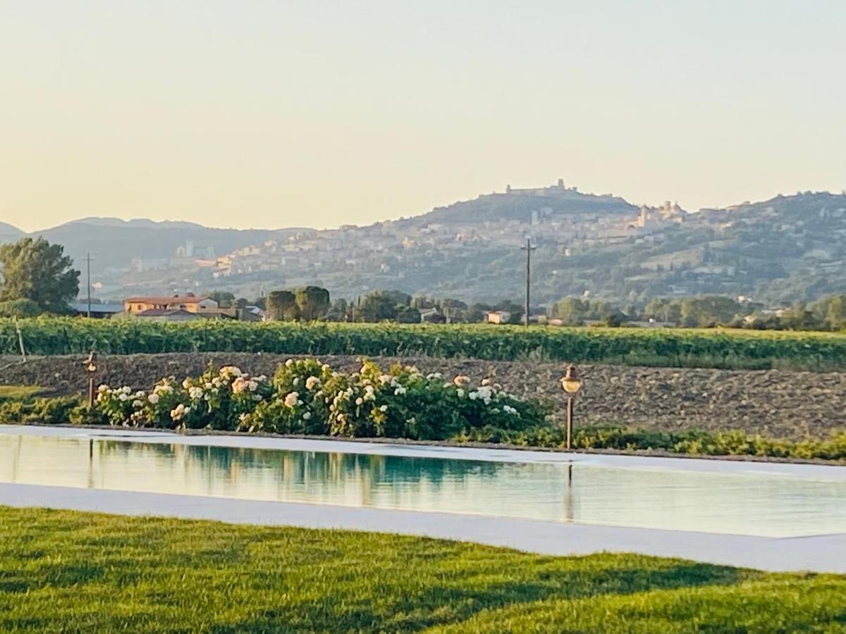 Borgo Degli Angeli Resort E Spa San Vitale Luaran gambar